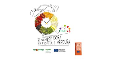 Fruit24 - Apo Conepro