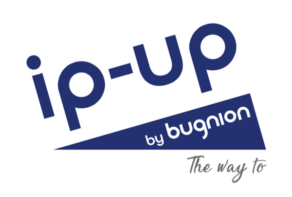 Bugnion_ip-up
